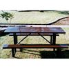 Thermoplastic Steel Picnic Table Plasti-Plank Style