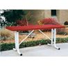 Thermoplastic Steel Picnic Table