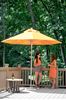 9 Ft. Octagonal Aluminum Market Umbrella